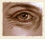 Incisions pour la blépharoplastie